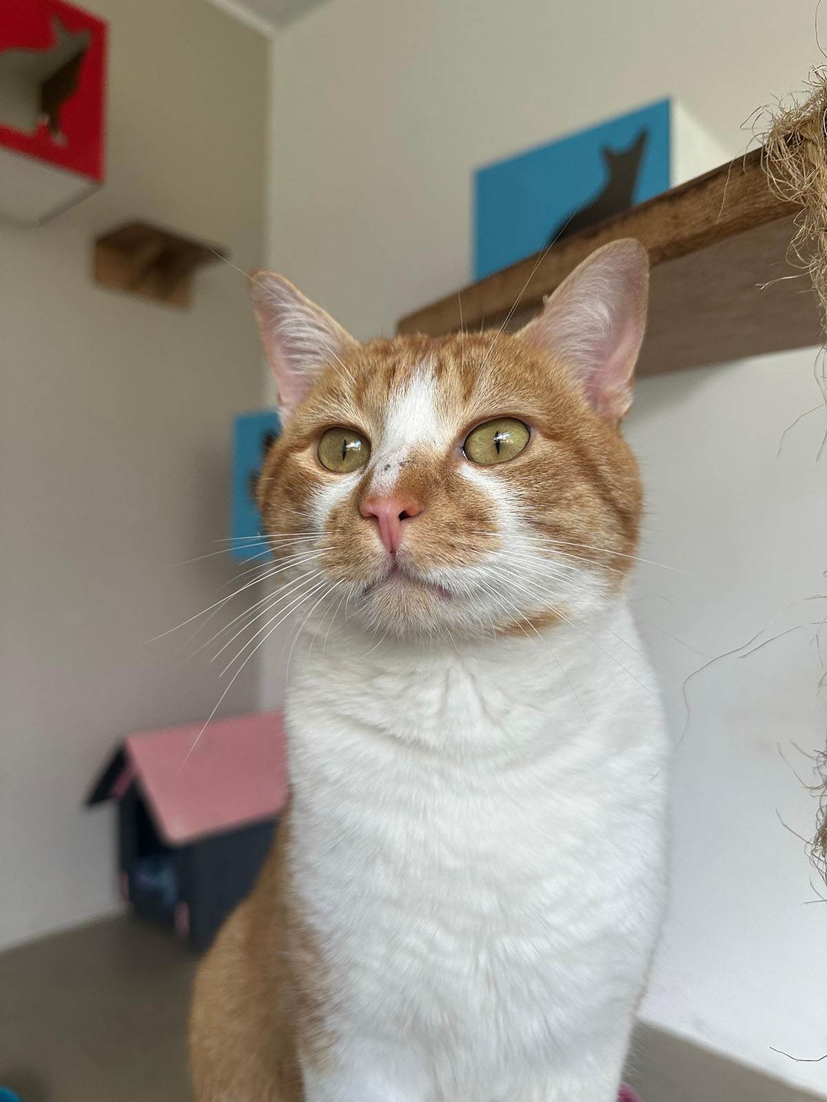 Gabriel